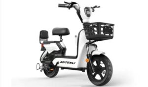 Электроскутер Shtenli Model 15 Maxi Range